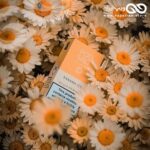 ایجوس سالت موز و یخ PodSalt Banana ice