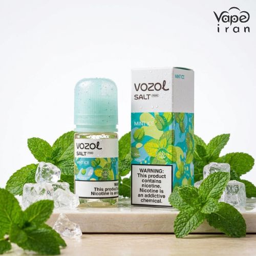 Vozol Mint Ice Saltnic